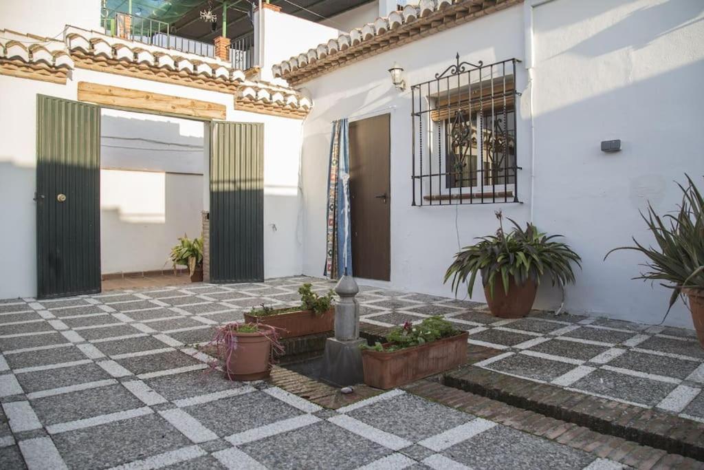 Lolas Cozy Studio Granada Ngoại thất bức ảnh